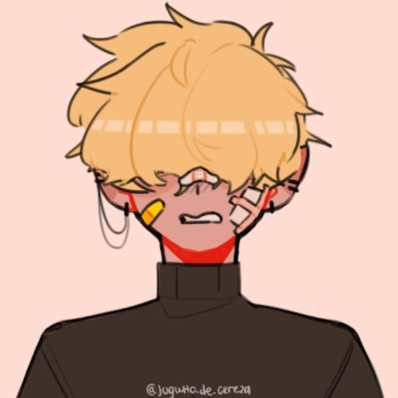 Meet your Posher, Piper - Picture 1 of 1